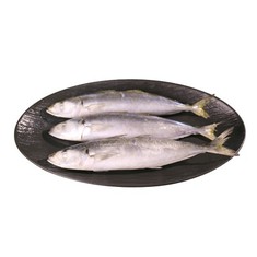 Layang Layang Beku yang Disesuaikan