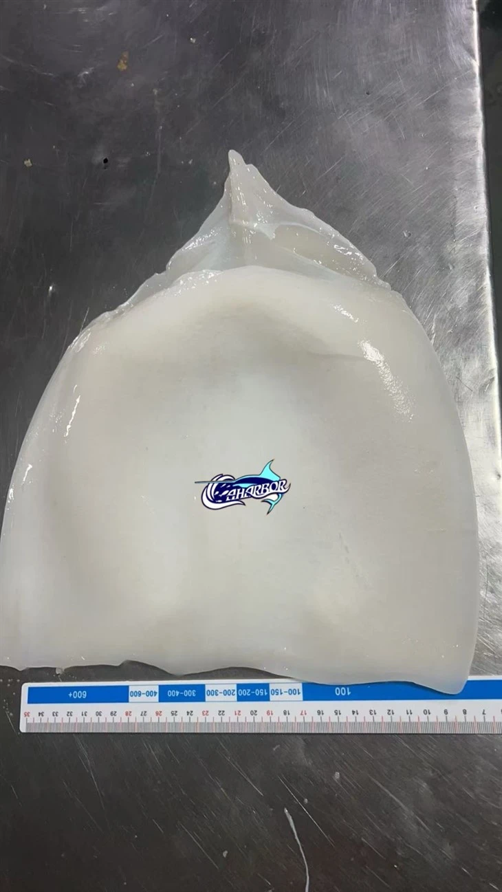Frozen Humboldt Squid Fillet Skin Off