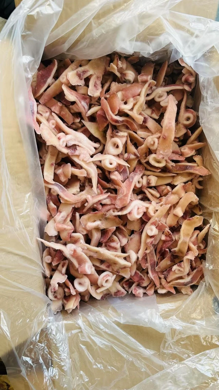 Frozen Squid Wing/ Fin Ring