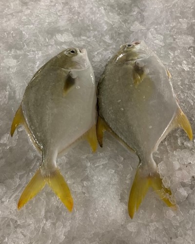 6765787923927829409688398640824117597044736n 6765787923927829409688398640824117597044736n