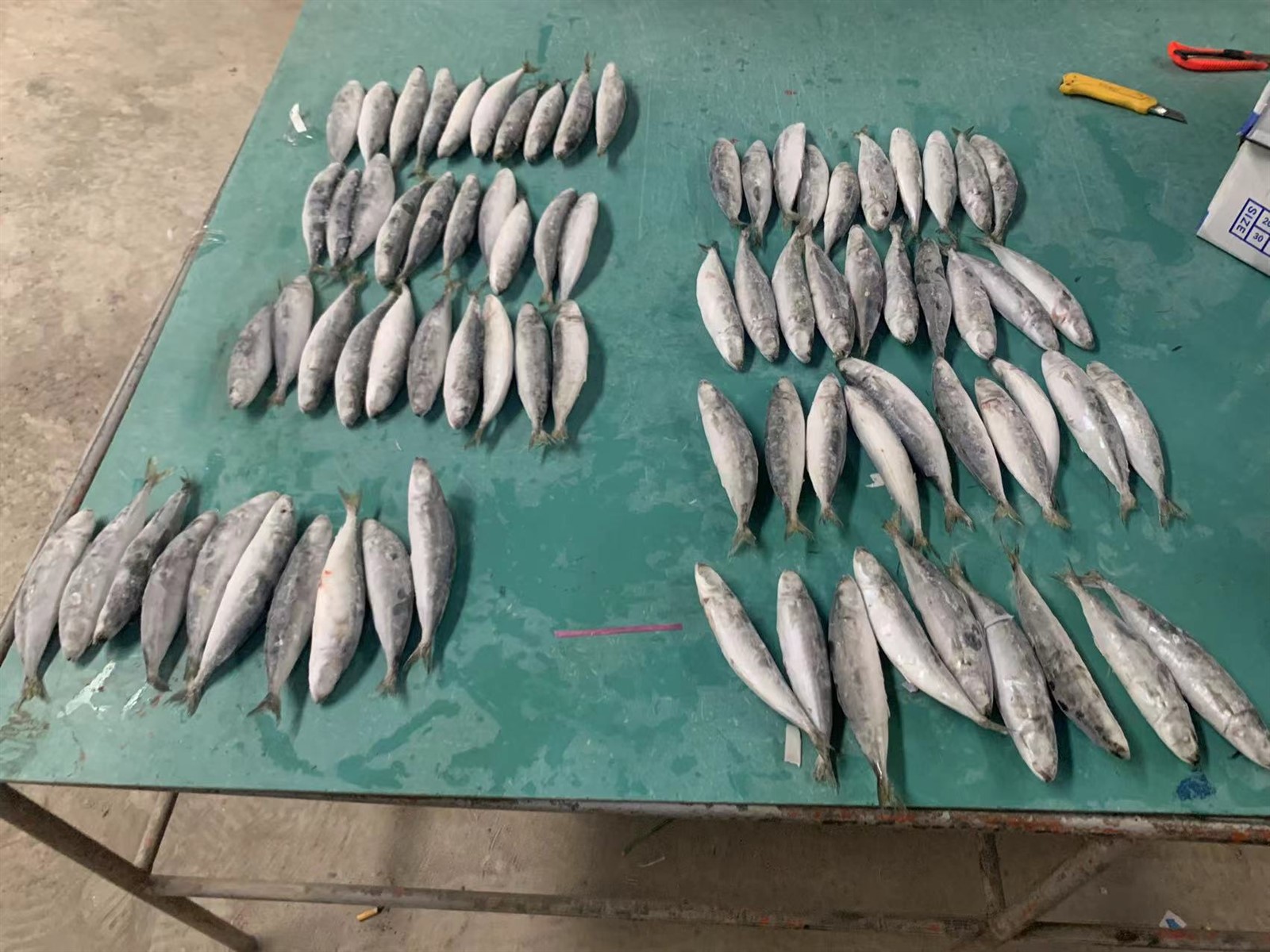 9ad6232f3f8676a8150a01b7cab80a8 9ad6232f3f8676a8150a01b7cab80a8