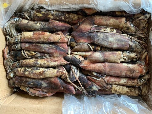 4064595388930621424502844894479156437142443n 4064595388930621424502844894479156437142443n