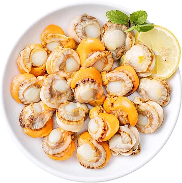 Roe daging scallop beku